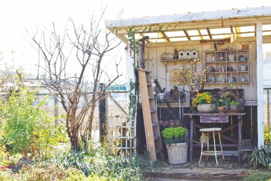 「小屋と植物の物語」が素敵な「フローラ黒田園芸」にいってきました。