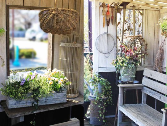 「小屋と植物の物語」が素敵な「フローラ黒田園芸」にいってきました。