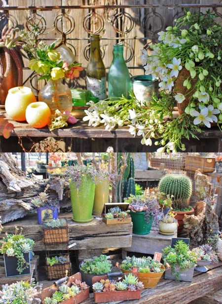 「小屋と植物の物語」が素敵な「フローラ黒田園芸」にいってきました。