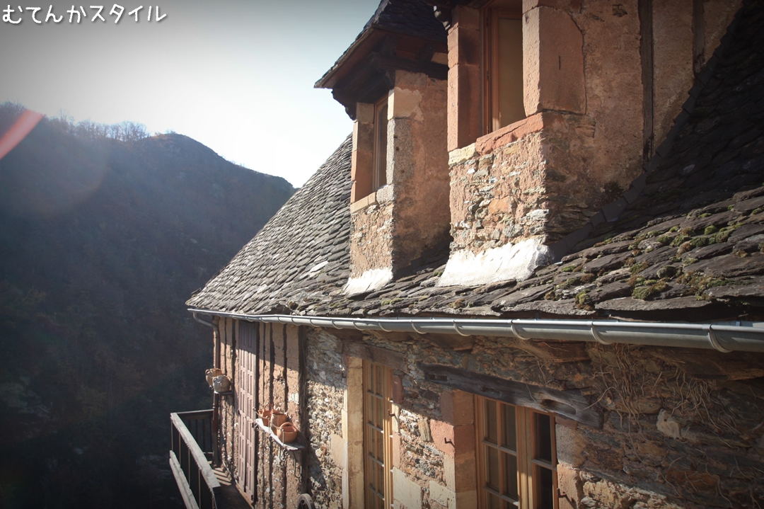 IMG_6564