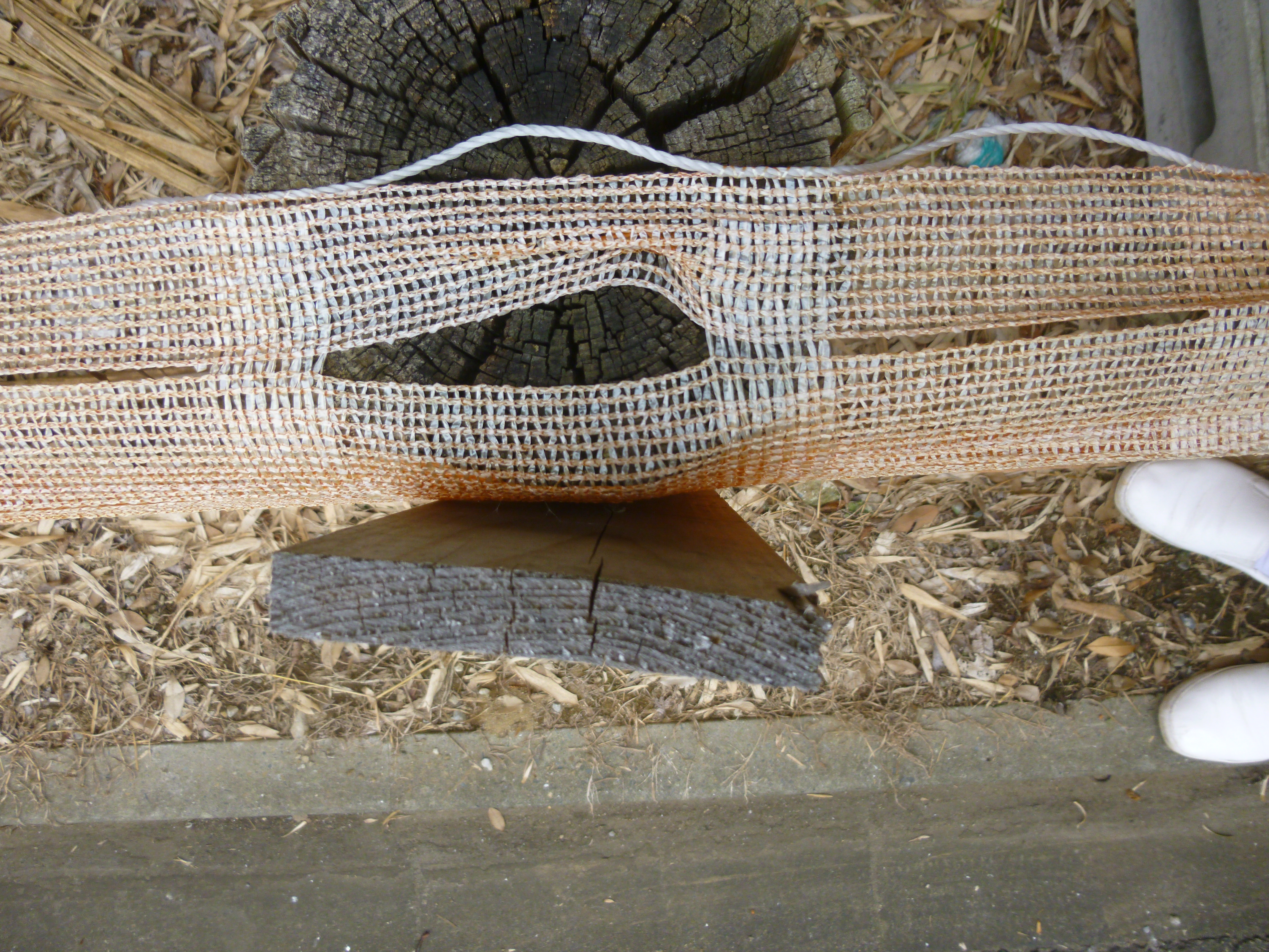 P1620430